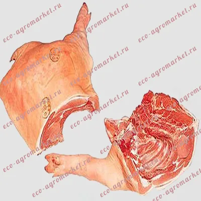 Свиная полутуша по оптовой цене: «Деревня Соловьи» приглашает за  качественным натурпродуктом : Псковская Лента Новостей / ПЛН