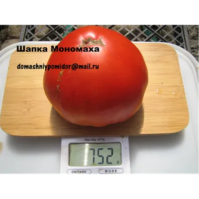 Семена томатов Шапка Мономаха Сибирский сад 145297146 купить в  интернет-магазине Wildberries