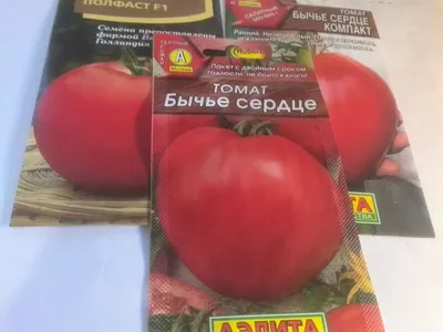 Томат \"Шапка Мономаха\", семена купить по цене 62 ₽ в интернет-магазине  KazanExpress