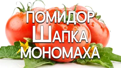 Семена World of Seeds Помидоры Шапка Мономаха 0,1г ❤️ доставка на дом от  магазина Zakaz.ua