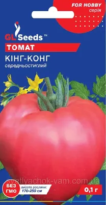 Обзор сорта помидора томата \"Шапка мономаха\" (характеристики, свойства,  фото) - YouTube