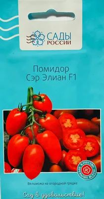 Томат Жираф 0,1 г Седек купить недорого в интернет-магазине товаров для  сада Бауцентр