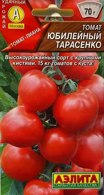 Я отказываюсь сажать «всякую ерунду»! Теперь только лежкие сорта томатов —  9 (копеечных) фаворитов сделают вам урожай | Азбука огородника | Дзен