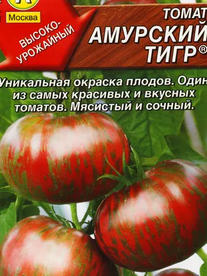 Томат Амурский тигр 20шт. (Аэлита) купить по цене 105 ₽ в интернет-магазине  KazanExpress