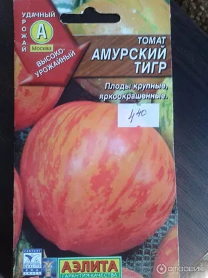 ᐉ Купить Семена помидора Амурский тигр НК Элит, 30 шт в интернет-магазине |  Stroyploshadka.Ua