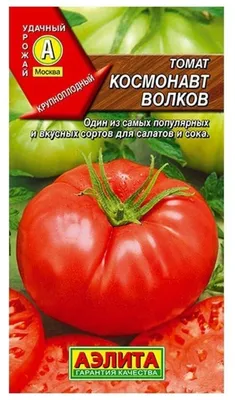 Семена томатов Космонавт Волков (0,1 г) | ВетАптека - ЗооМагазин \"Лапочка\"