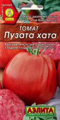 Томат Космонавт Волков: отзывы, фото, описание, характеристика