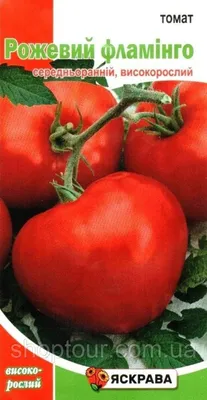 Больше не буду сажать крупные помидоры. Сорта томатов некрупных, но  мясистых и вкусных | уДачный проект | Дзен