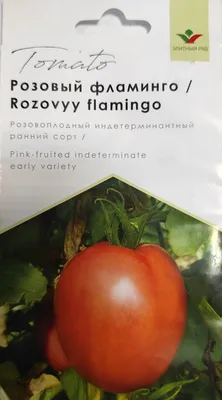 Томаты ПОИСК Агрохолдинг карточкаТоматПоиск. - купить по выгодным ценам в  интернет-магазине OZON (793719963)