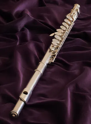 Файл:Western concert flute (Yamaha).jpg — Википедия