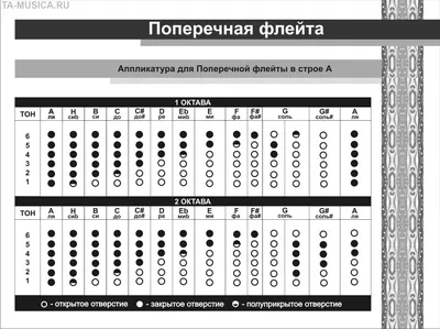 Поперечная флейта составная Ля | TA-MUSICA