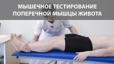 Поперечная мышца живота (m.transversus abdominis) 3D Анатомия - YouTube