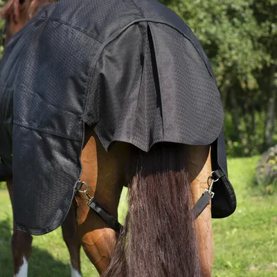 Попона для лошади вафельная - купить с доставкой по выгодным ценам в  интернет-магазине OZON (917092854)