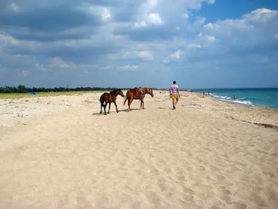 Пляж Поповка Крым - фото и картинки: 57 штук