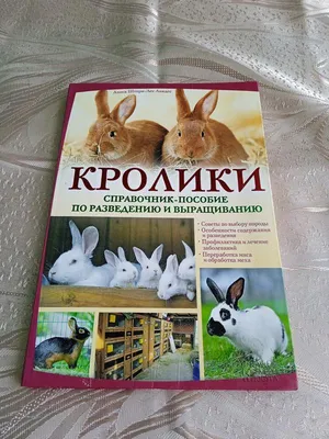 Книги/ кролики/ справочник по разведению и выращиванию кроликов — цена 150  грн в каталоге Дом и хобби ✓ Купить товары для спорта по доступной цене на  Шафе | Украина #126533701