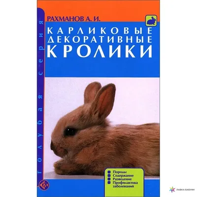 Карликовые декоративные кролики. Породы. Содержание. Разведение.  Профилактика заболеваний, , Аквариум купить книгу 978-5-4238-0102-1 – Лавка  Бабуин, Киев, Украина