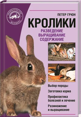 Раменские ученые вывели суперплодовитого кролика - МК Московская область