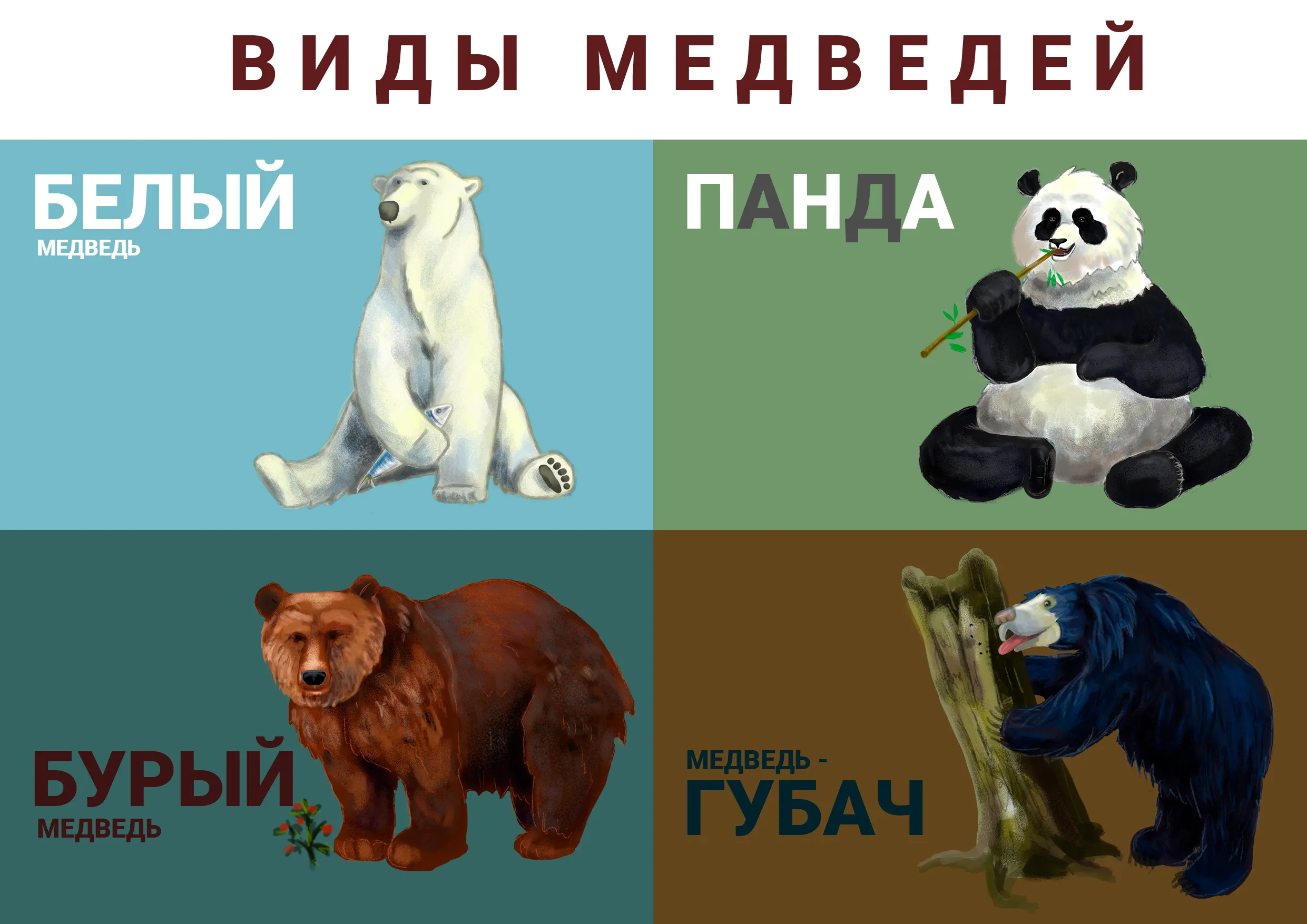 Медведь начало слова. Виды медведей. Виды медведей плакат. Карта в виде медведя. Подвиды медведей в России.