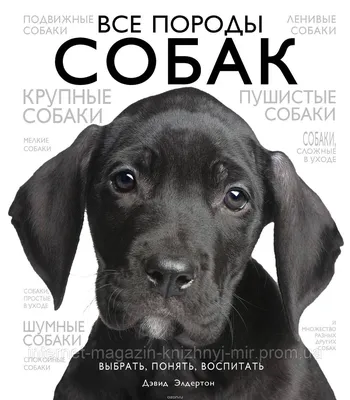 Купить Все породы собак. Выбрать, понять, воспитать. Подарочное издание,  цена 750 грн — Prom.ua (ID#737456356)