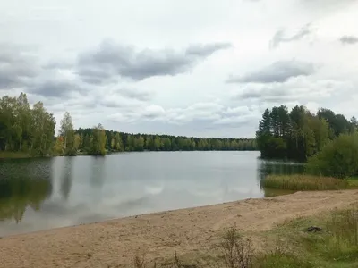 Фото: Успенское, коттеджный посёлок, Ленинградская область, Тосненский  район, Шапкинское сельское поселение, посёлок Шапки, коттеджный посёлок  Успенское — Яндекс Карты