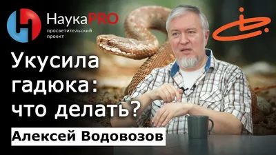 Ученый, который пожертвовал жизнью, чтобы описать симптомы укуса ядовитой  змеи | MAXIM