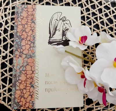 Мои посмертные приключения, Юлия Вознесенская - «Притча заставляющая  переосмыслить своё отношение к жизни. Атеисты, отнеситесь спокойно!» |  отзывы