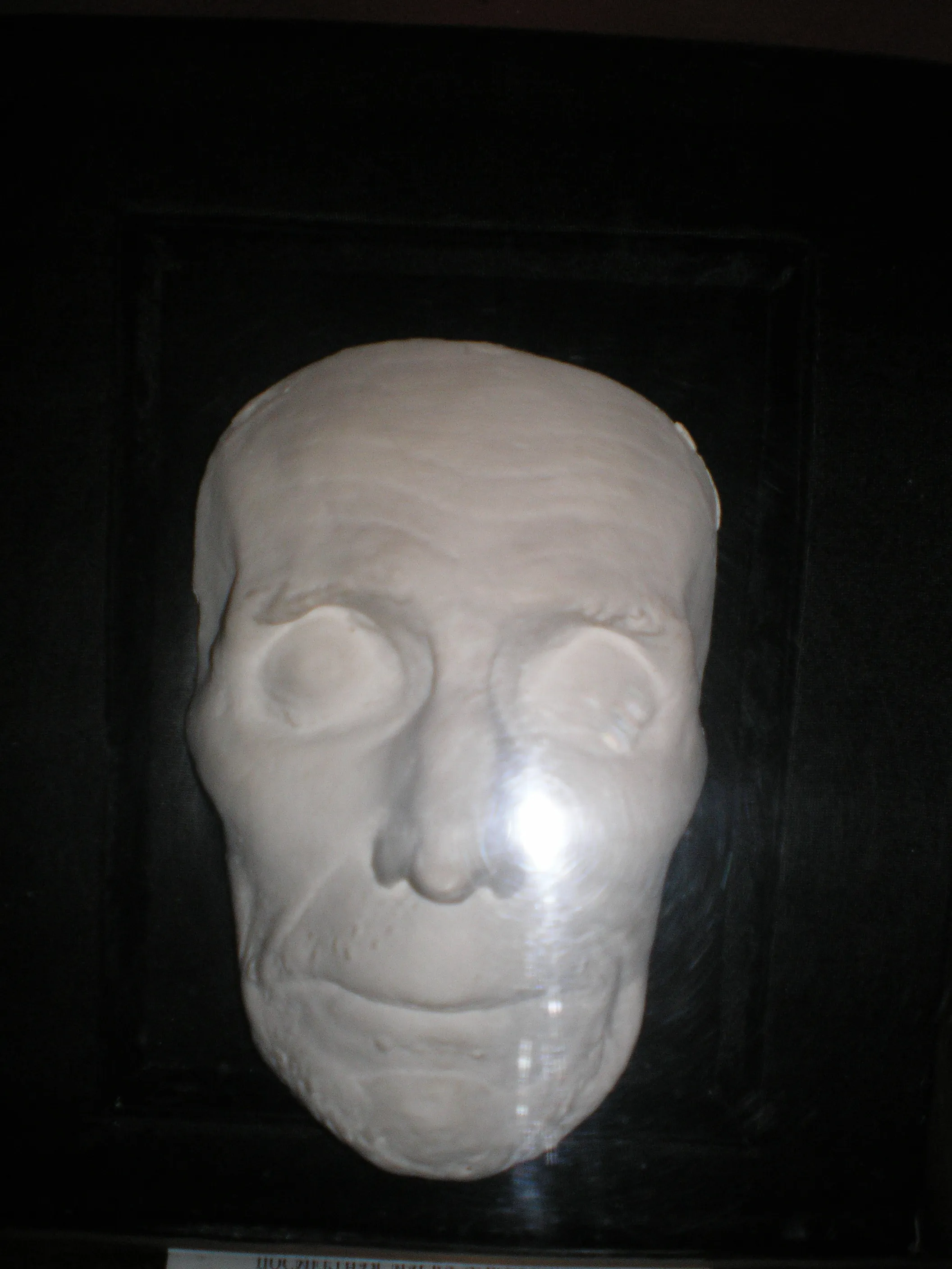 Посмертная маска Андрея Тургенева