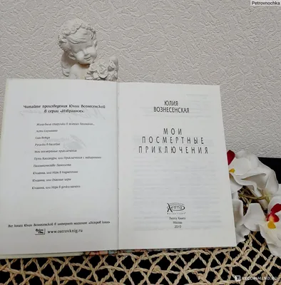 Мои посмертные приключения, Юлия Вознесенская - «Притча заставляющая  переосмыслить своё отношение к жизни. Атеисты, отнеситесь спокойно!» |  отзывы