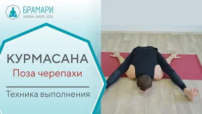 Курмасана. Поза черепахи. Техника выполнения - YouTube