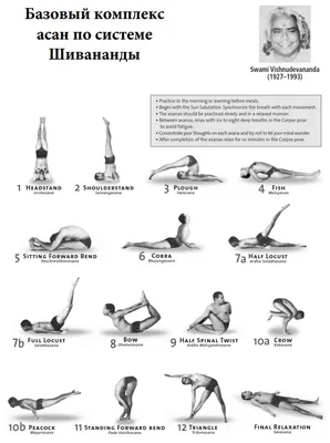 Бикрам Йога, или как я учусь слушать своё тело: cosytriangle — LiveJournal