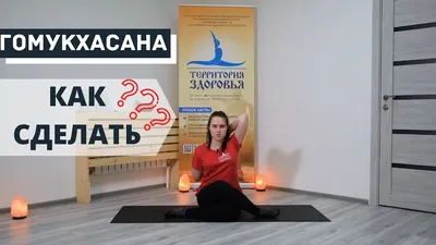 Йога для начинающих - лучшие асаны для занятий новичков в домашних  условиях, смотреть видеоуроки - Студия йоги Чакра