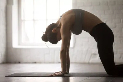 Топ 15 поз йоги, которые колоссально изменят ваше тело за месяц. |  FactHeart | Дзен