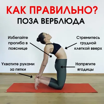 Легкая йога 🟢 Онлайн-курс on Instagram: “Поза Верблюда растягивает все  основные мышцы нашего тела и волшебно воздействуе… | Тренировка для всего  тела, Йога, Тело