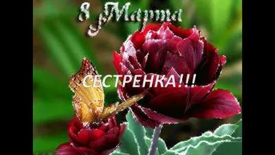 Поздравление с 8 марта для любимой сестры) #8марта #поздравлениедлясестры -  YouTube