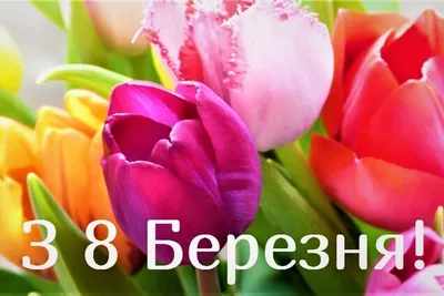 Красивые поздравления на 8 марта ~ Все пожелания и поздравления на сайте  Праздникоff