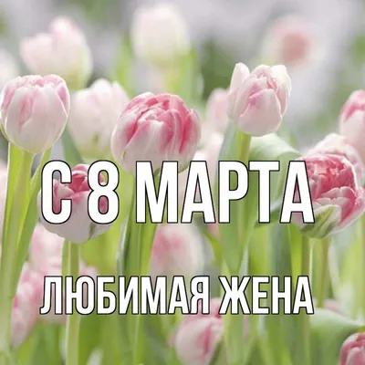 Поздравление с 8 марта по мотивам \"Короля и Шута\" | Пикабу