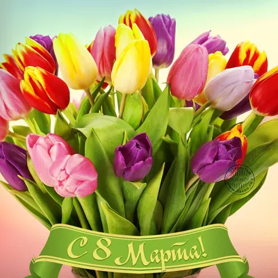 Поздравление с 8 марта цветы фото