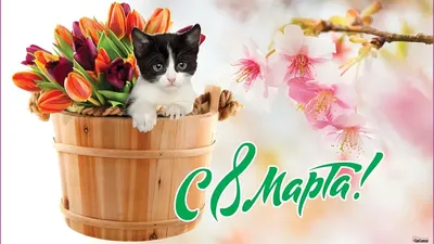 Открытка-поздравление \"8 Марта цветы\", 2 шт, набор номер №1 — купить в  интернет-магазине по низкой цене на Яндекс Маркете