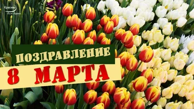Поздравление с 8 марта!!! – ГБУ ВО \"Волгоградская облветлаборатория\"