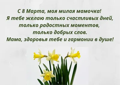 Солнце, улыбки, цветы… 8 Марта :: Петрозаводский государственный университет