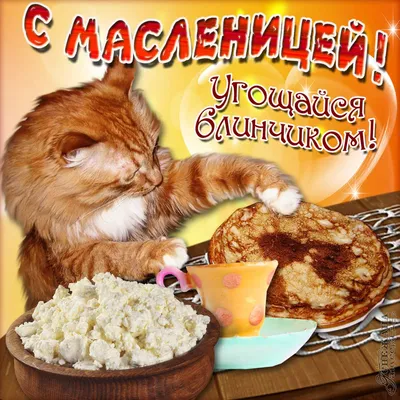 Открытки масленица с масленицей с пожеланием...