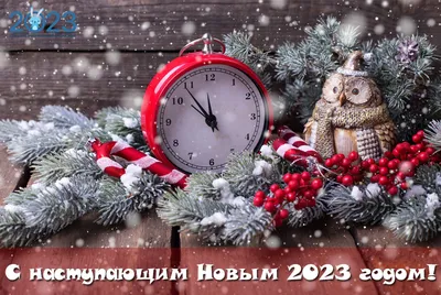 Новый 2023 год: картинки | новогодние в год Кролика