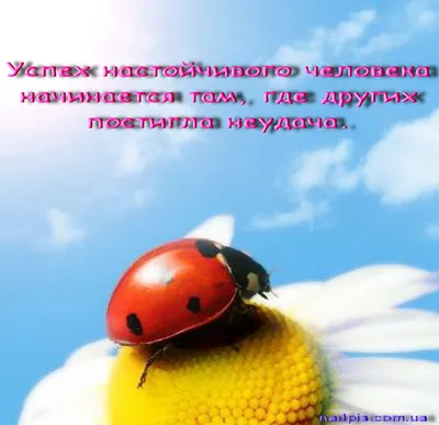 Позитив | Картинки с надписями, прикольные картинки с надписями для  контакта от Любаши - Part 2