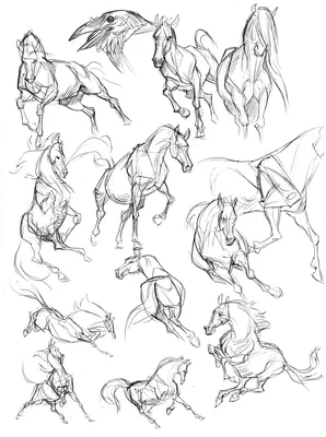 Computer Graphics Nine Poses Gypsy Vanner Horse Stock Photo by ©Majorgaine  197651812