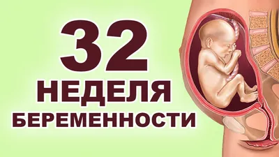 32 неделя беременности от зачатия: УЗИ плода, фото живота, что происходит с  мамой и малышом