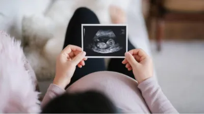 28 недель беременности: фото и развитие плода, состояние матери
