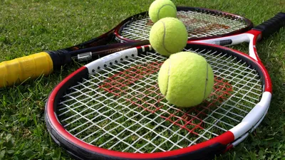 Спортивная секция тенниса. Секция большого тенниса. Интересное о теннисе и  описание спортивной секции игры в большой теннис