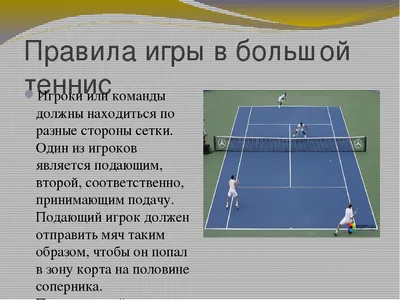 Теннис: вид спорта, история, правила, термины, турниры и звезды