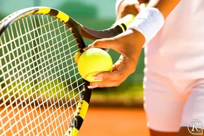 Большой шлем, сет, ATP и WTA – как начать разбираться в теннисе?