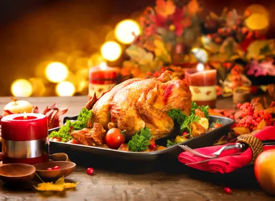 Что приготовить из курицы – вкусные блюда на Новый год – простой рецепт -  Новости Вкусно